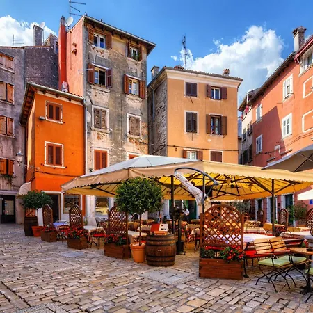 Eucaliptus - Happy * Rovinj