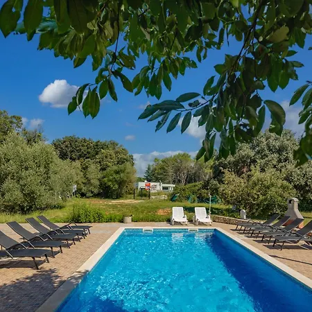 Eucaliptus - Happy *